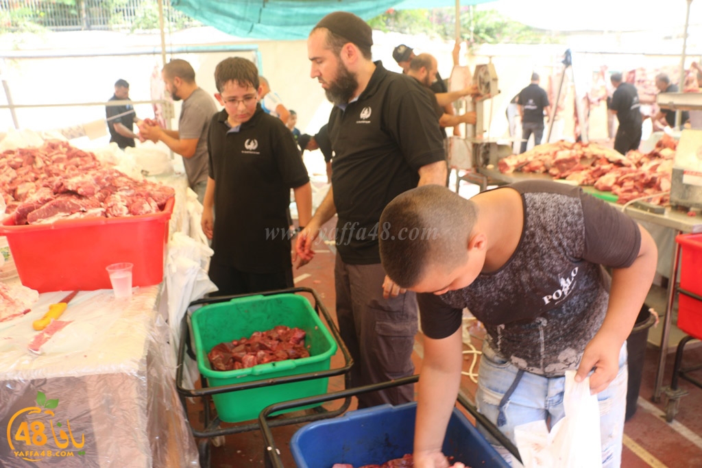 ada7y forthei (103).JPG